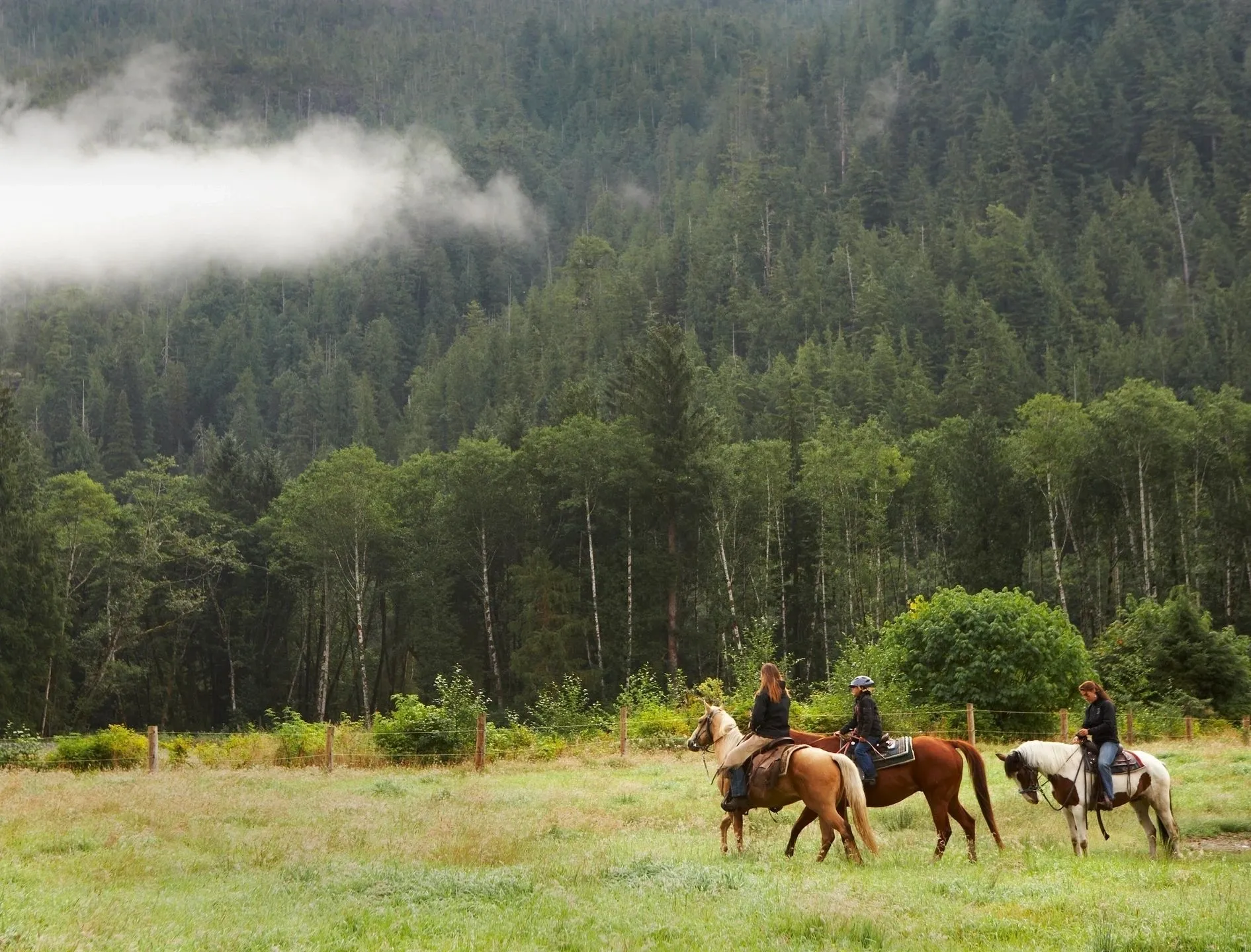 A group of people riding horses in the grass.